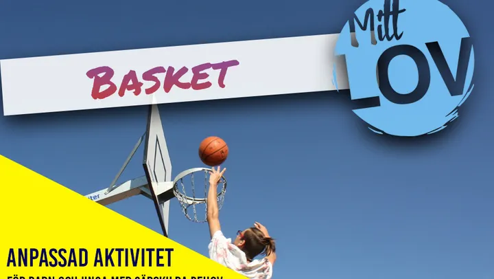 Spela basket – Norrtälje