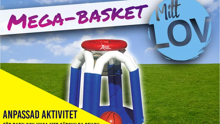 Uppblåsbar basket - Anpassad aktivitet – Norrtälje