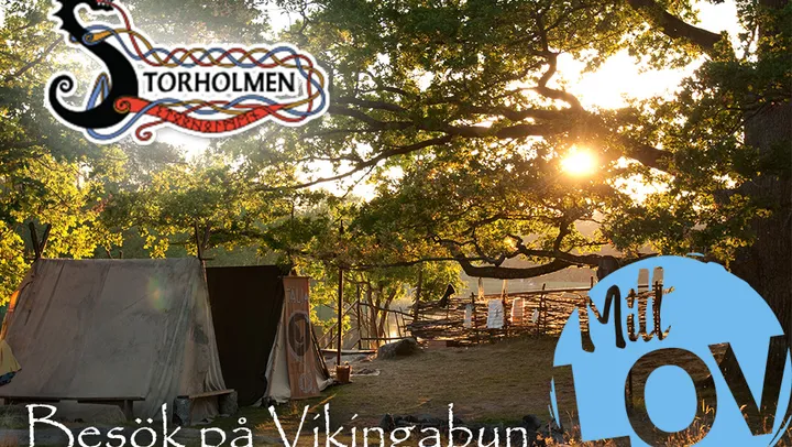 Besök Vikingabyn – Norrtälje