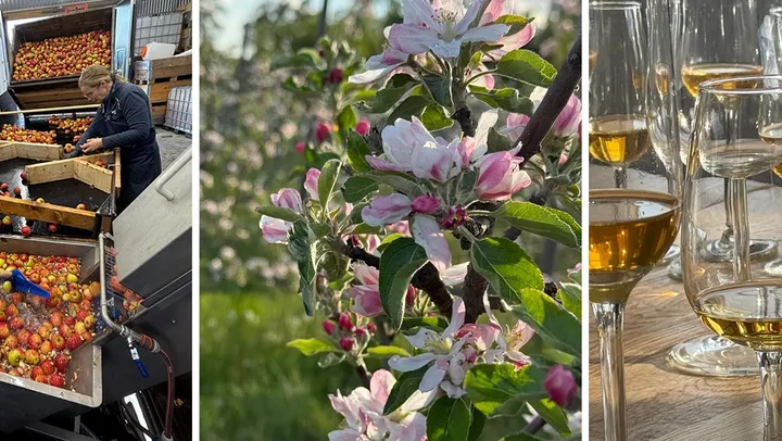 Ciderbruket – visning, provsmakning och gårdsförsäljning – Norrtälje