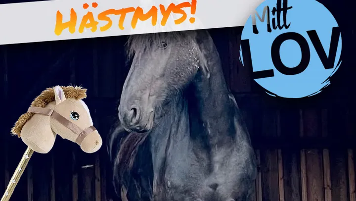 Käpphästkul och hästmys! – Edsbro