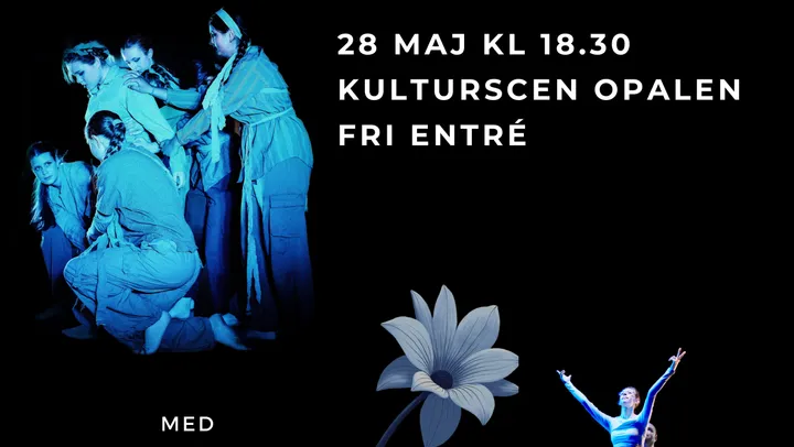Danser om frihet – Rimbo