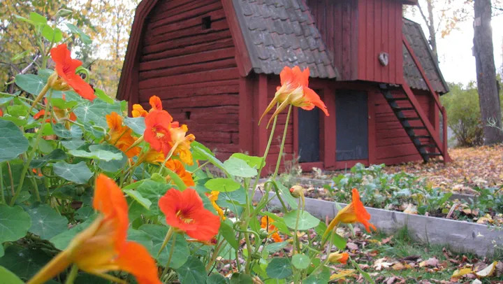 Stadsvandring Hus med historia – Norrtälje