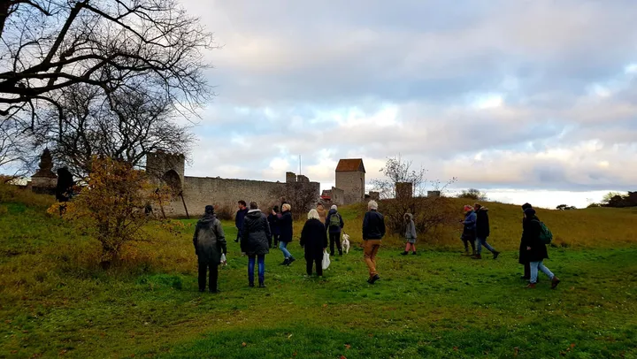 Tryffelsök i Östergravar – Visby