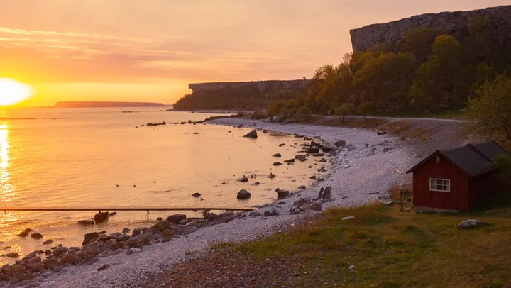 Fågelsångskurs på Stora Karlsö - tre dagar – Stora Karlsö