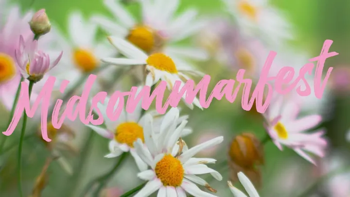 Midsommarmiddag 26 – Fårö