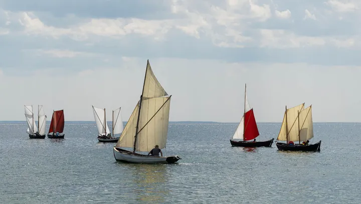 Allmogebåtens Dag – Klintehamn