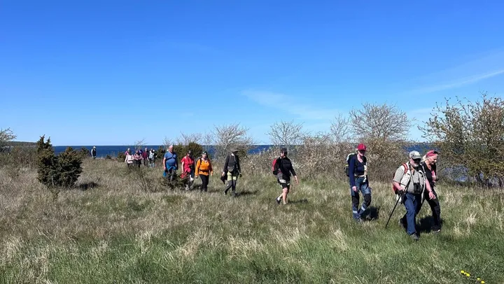Vandring Gotland runt, Kappelshamn - Bläse – .