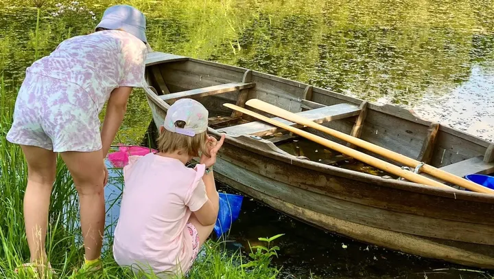 Barnaktivitet: vattenlevande kryp vid dammen på Norrbys museigård – Klintehamn