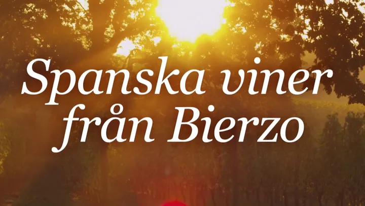 Vill du lära dig mer om vin? – Ljugarn