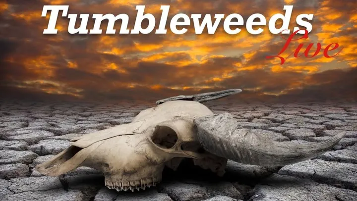 Livemusik med Tumbleweeds – Katthammarsvik