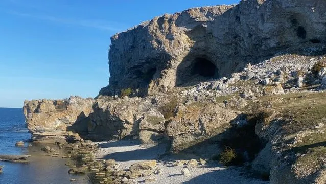 LINNÉDAGAR 2026 – Burgsvik