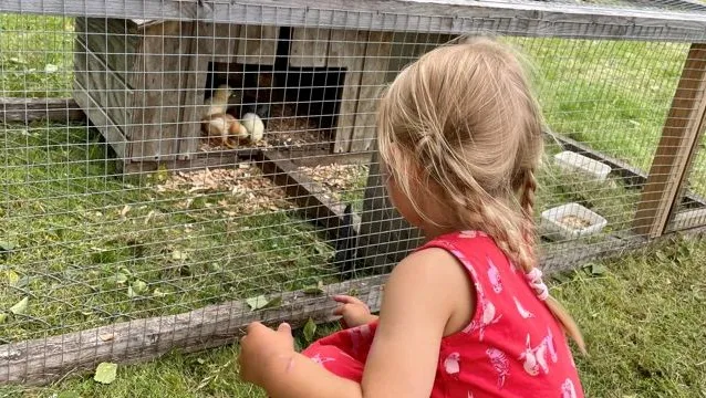 Barnens Matfestival – Visby