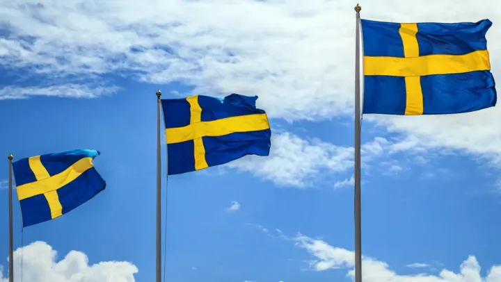 Vi firar Nationaldagen i parken - Tanumshede – Tanumshede