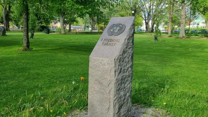 Veterandagen