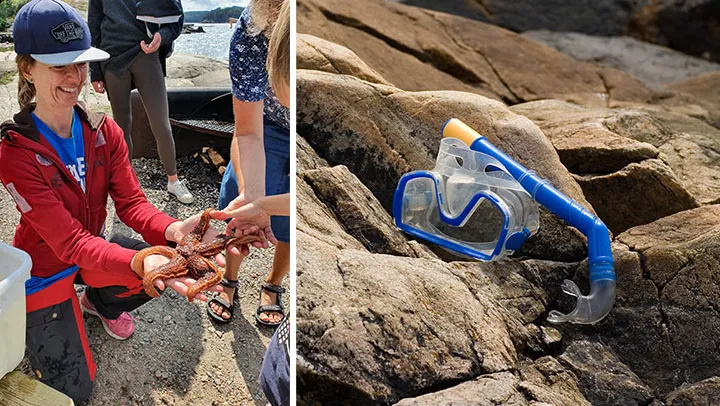 Kika vattenkikare med Länsstyrelsens marinbiologer