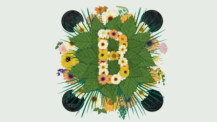 Blomsterprogrammet 2026 – Borås