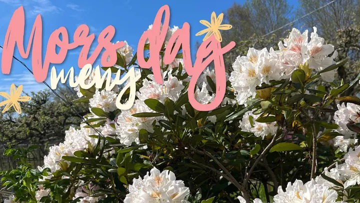 Mors Dag på Luna Vingård & Restaurang – Lysekil
