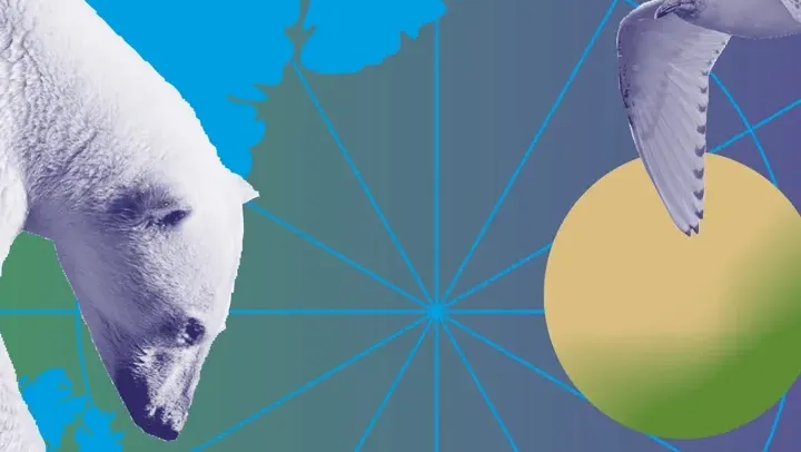 Workshop för barn: Klot & Klimat  med Danskompaniet Spinn
