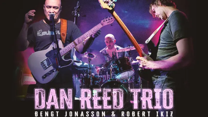 Dan reed trio