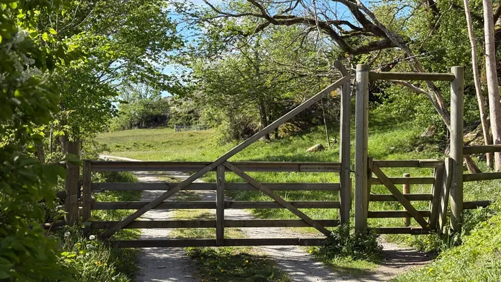 Vandring på naturreservatet Valön i Svenneby – Valön, Svenneby
