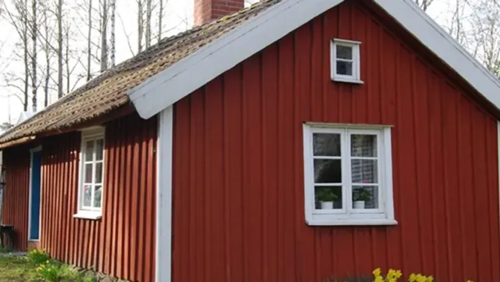 Musik och våffelcafé på Solliden