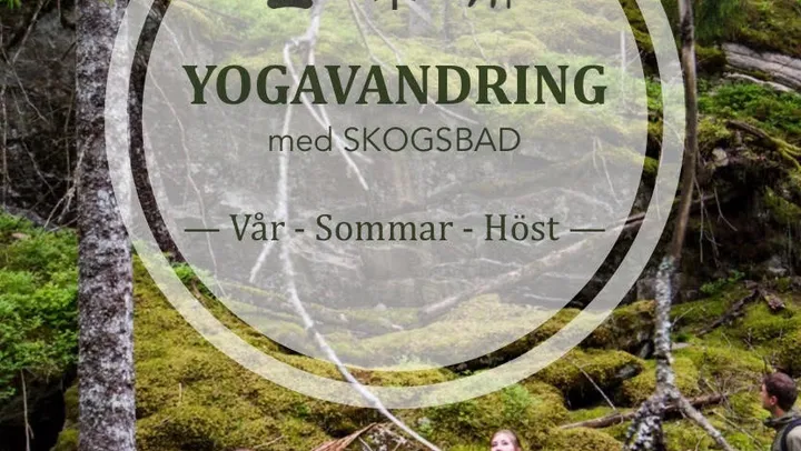 Yogavandring & skogsbad på Kroppefjäll – Högsäter