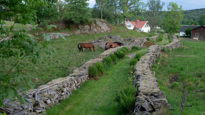Hyssnalördag – Hyssna