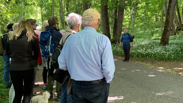 Guidad vårvandring på Kinnekulle – start vid Hellekis Säteri – Hellekis