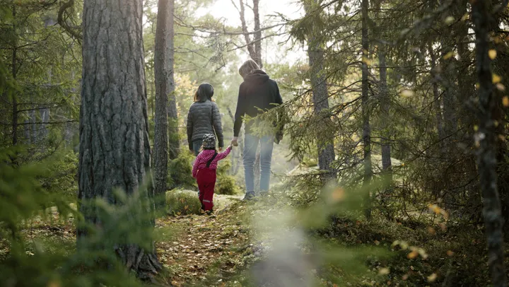 Webbinarium för föräldrar om fysisk aktivitet för barn  – Skara