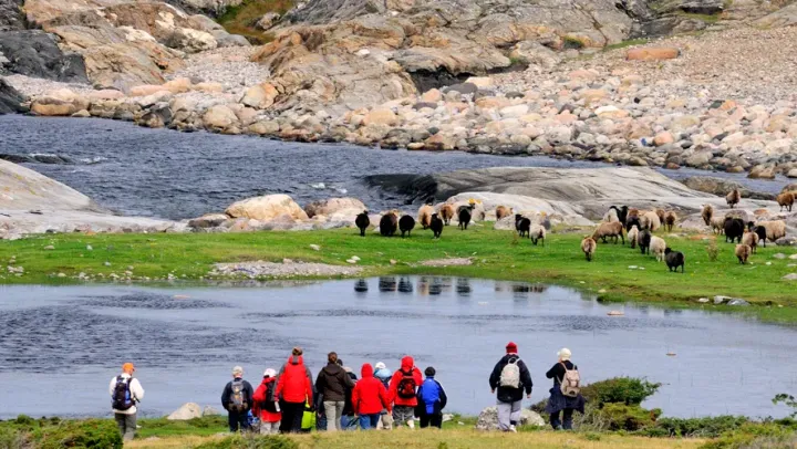 Guidad vandring på Nordkoster – Nordkoster