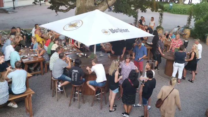 Biergarten - White Water Stringband