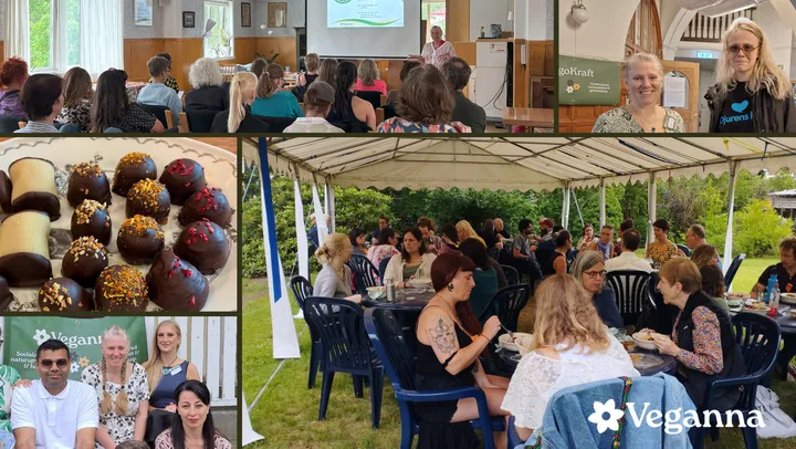 VegoKraft Sommarfestival🌱 – Alingsås