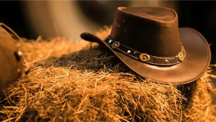 Sweet home Alabama – Skara