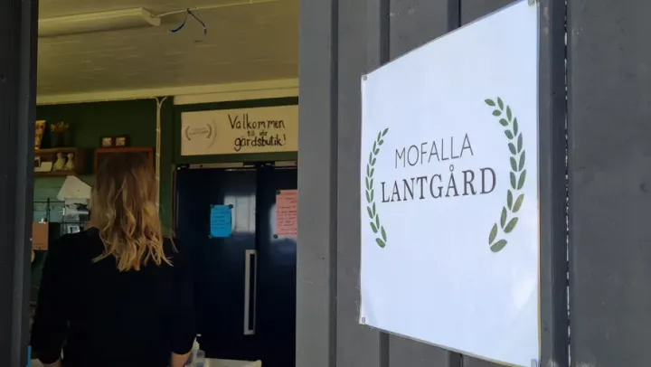 Mofalla Lantgård - Öppet hus