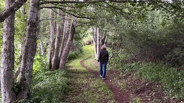 Guidad naturvandring – Havstenssund, Tanum
