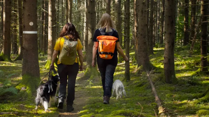 Vandra med hund – Dals Rostock