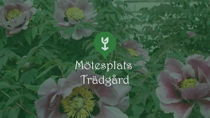 Mötesplats Trädgård – Herrljunga