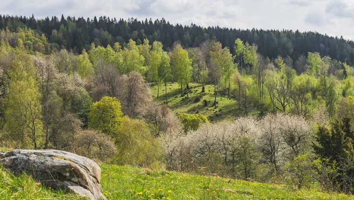 Valle härads skapelse och mysterier som är kvar – Skara
