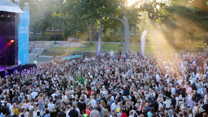 Fallens dagar