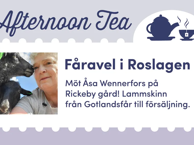 Fåravel i Roslagen – Norrtälje