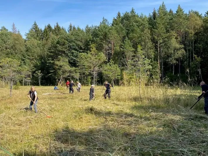 Slåtter på rikkärret Marn på Väddö – Väddö