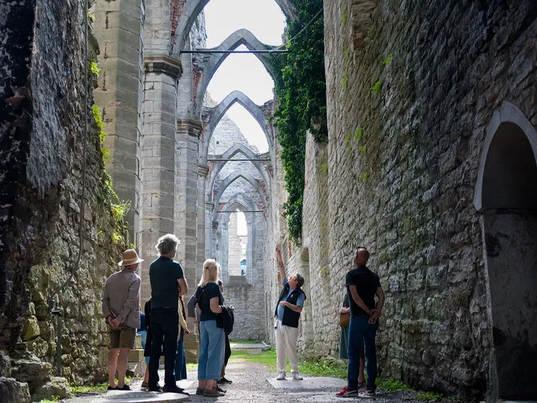 Stadsvandring: Ringmur, rosor och ruiner – Visby