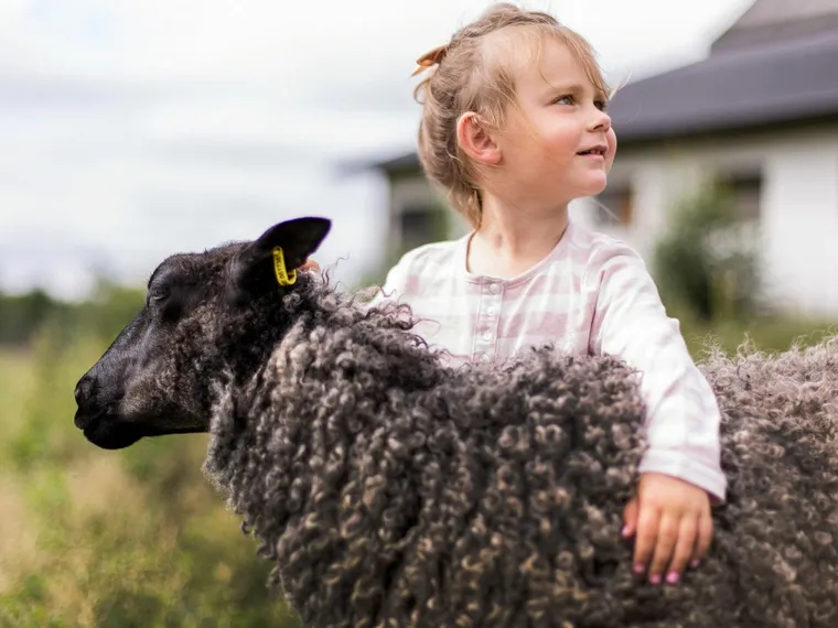 Barnens Matfestival – Visby