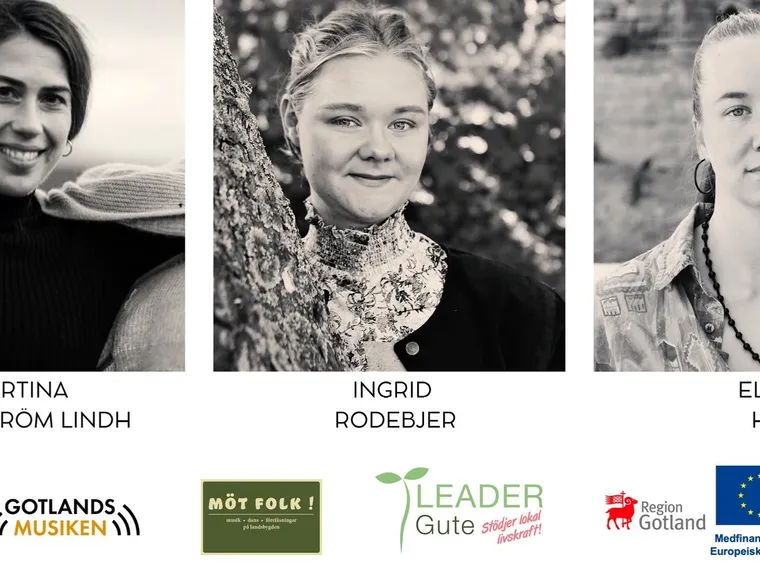 Workshop: Dansa folklig vals! – Visby