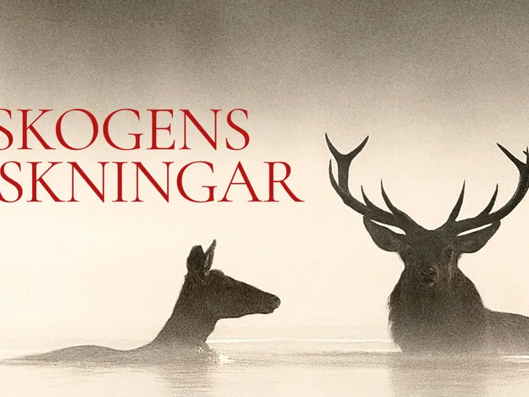 PREMIÄRBIO PÅ BERGMANCENTER – Fårö