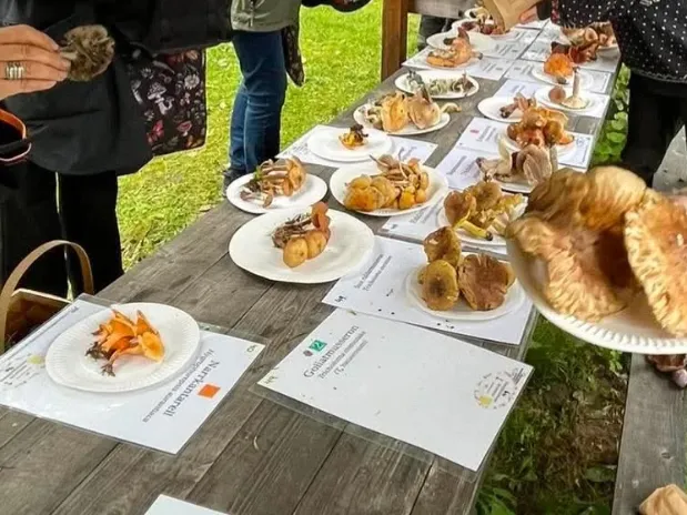 Svamputställning på Warfsholm – Klintehamn