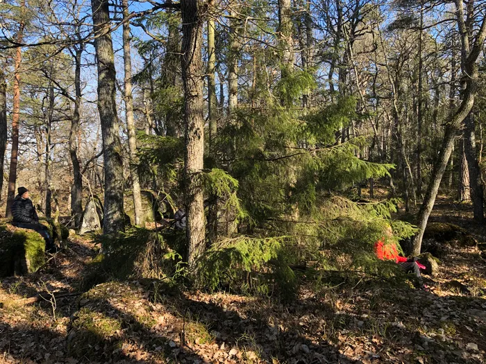 Naturens läkande kraft för återhämtning och ny energi 