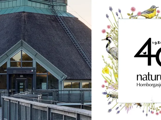 40 årsfirande för naturum Hornborgasjön