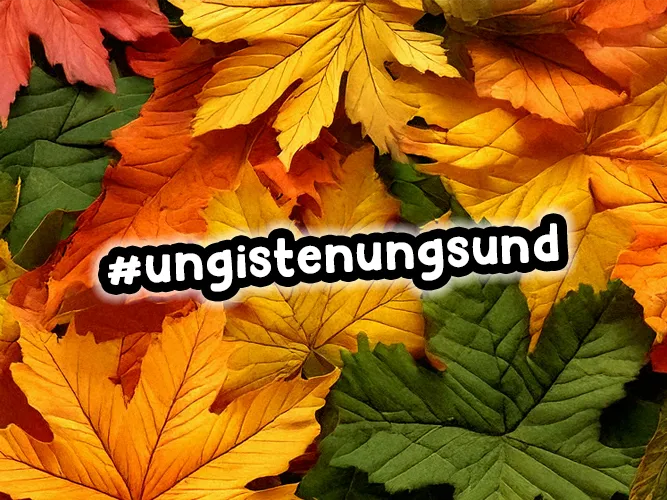 Höstlov med Ungdomsverksamheten